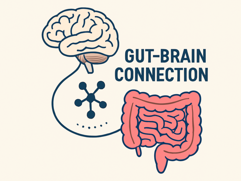 Illustration of the Gut Eye Axis, showing the direct communication pathway between the digestive microbiome and the retina, linking gut health and vision.